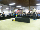 240 شرکت کننده در هشتمین دوره مسابقات سراسری روباتیک اسکان داده شدند