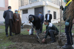 مراسم درختكاري در دانشگاه صنعتي نوشيرواني بابل