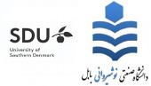 برگزاري جلسه مجازي با دانشگاه SDU دانمارك