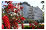 فراخوان پذیرش بدون آزمون استعدادهای درخشان در مقطع تحصیلی دکتری دانشگاه صنعتی نوشیروانی بابل برای سال  تحصیلی ۱۴۰۴-۱۴۰۳
