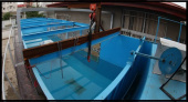 طراحی و ساخت استخر تست امواج(wave tank ) در دانشگاه صنعتی نوشیروانی بابل